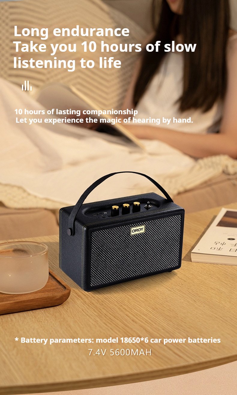 Smart Speaker YS111 Ultra Long Life Dual Speaker Stereo Sound Amplifier Home Audio for Camping(pic7)